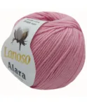 Midye